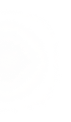 vector-33