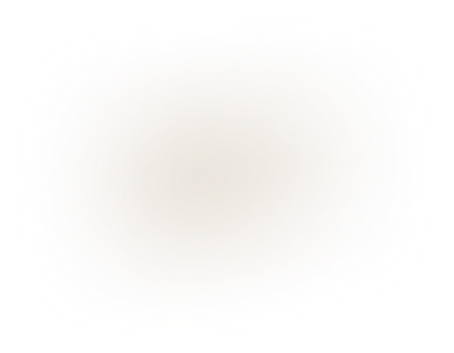 Decorative light circle